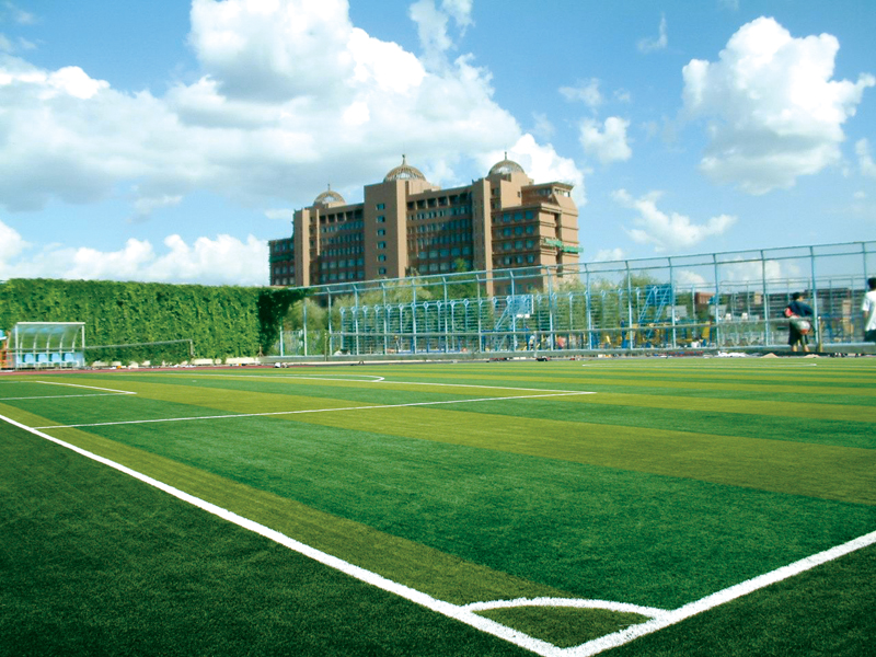 內蒙古大學800x600.jpg