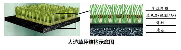 人造草坪結構 人造草坪結構