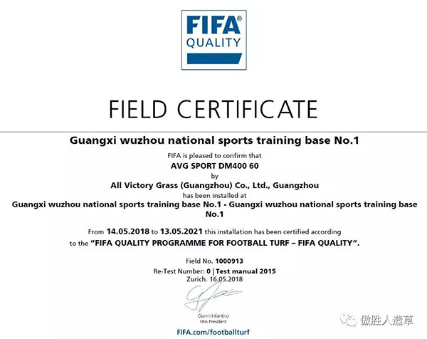 FIFA場地 FIFA場地