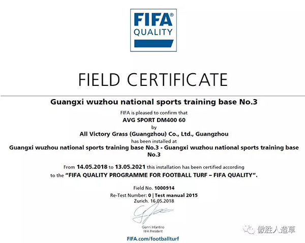 FIFA場地 FIFA場地